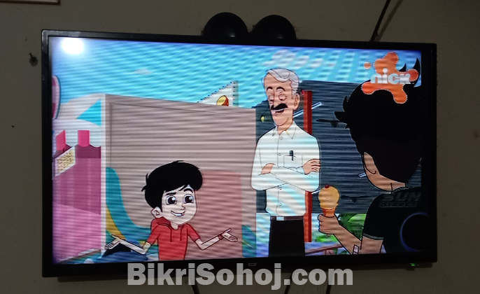 ইকো নন স্মার্ট এলইডি টিভি